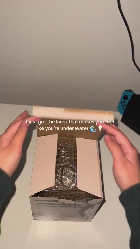 1.mp4